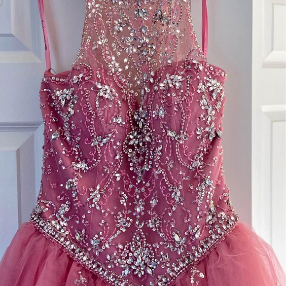 Mori Lee Pink Embellished Gown - Picture 9 of 9